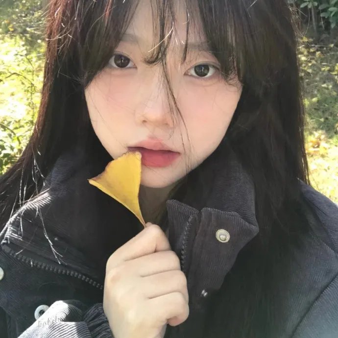 爱欲之港